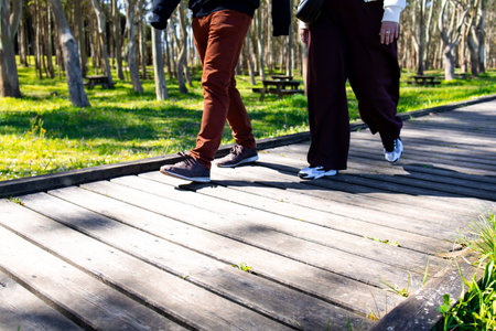 Caucasian adults walking on wooden path in sunlit park with green grass and treesの写真素材