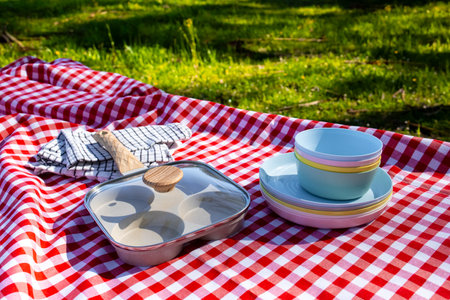 Outdoor picnic scene with red checkered blanket, plates, and cooking pan in sunlit parkの写真素材