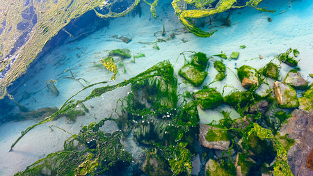 Serenity of algae covered rocks in clear blue water