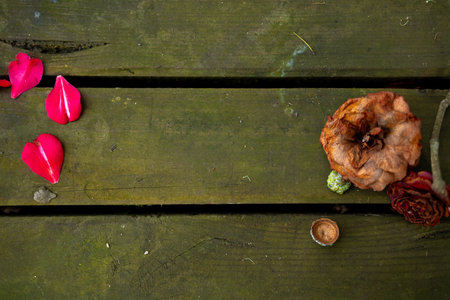 Fallen rose petals on weathered wooden surfaceの写真素材