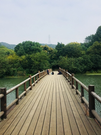 wooden bridgeのeditorial素材