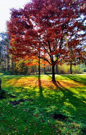 beautiful autumn colors