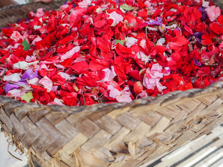 Basket full with colorful flower pertals used for daily offerings sold at the Ubud market, Bali, Indonesiaの写真素材