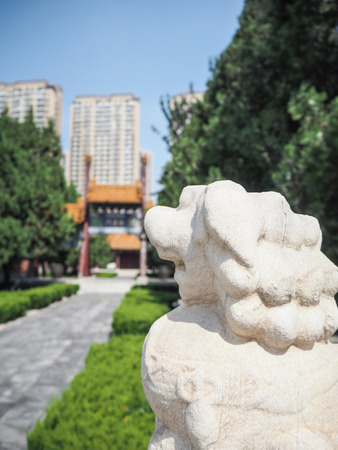 White stone lion guarding the entrance to the Confucius temple in Tianjin, Chinaの写真素材