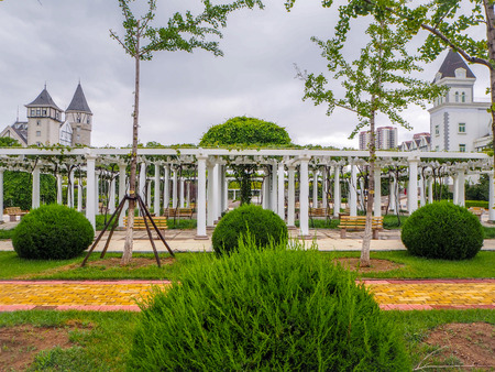 August 2018 - Yantai China: Lusg pergola covered in grape vines at the Changyu vineyard estate, the largest Chinese wine producerのeditorial素材