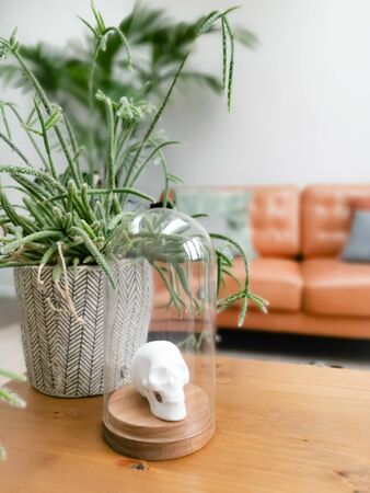 White porcelain animal head in a glass bell jar on a wooden coffee table in a light modern living room with numerous plants creating an urban jungleの写真素材