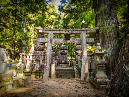 Aged tombs in the Okunion cemetery on mountain Koyasan in Wakayama prefecture in Japan, a Unesco world heritage siteのeditorial素材