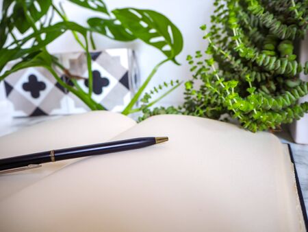 Multiple indoor plants and a blank notebook on a office desk in a bright white interior creating a no stress work environmentの写真素材