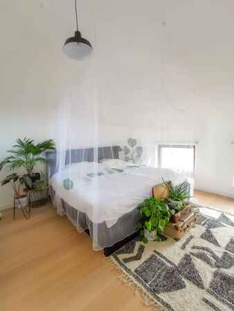 Minimalist bright white bedroom flooded in natural light and some green plantsの写真素材