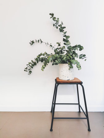 Dried eucalyptus bouquet on a wooden industrial stool against a white background.の写真素材
