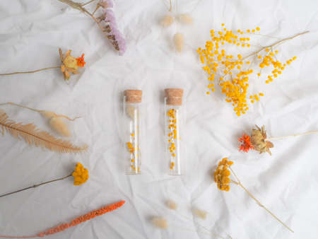 Alocasia silver dragon or silver jewel alocasia (Alocasia Baginda) rhizomes ready to be propagatedの写真素材