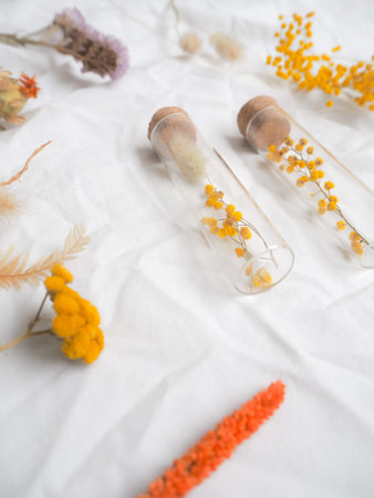 Handmade dried flowers in glass tube gift against a white backgroundの写真素材