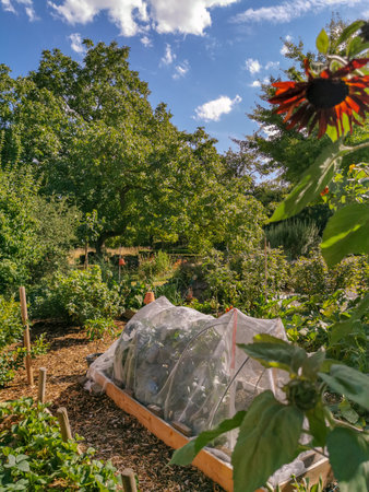 Lush domestic vegetable garden with flowers, vegetables and fruit in raised wooden beds during...