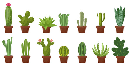 Horizontal banner set of desert, room green cactus. Flat, cartoon style. Vector illustration white background. Element designのイラスト素材