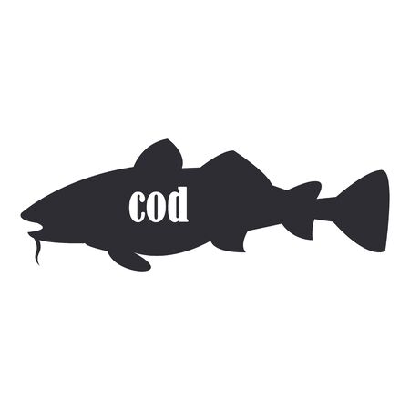 large gray cod fish isolated on white background.