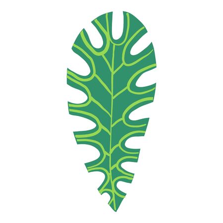 Long tropical leaf icon. Cartoon abstract vector icon for web design isolated on white background.のイラスト素材