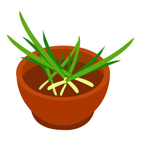 Bowl of spring onion spices icon. Isometric of bowl of spring onion spices vector icon for web design isolated on white backgroundのイラスト素材