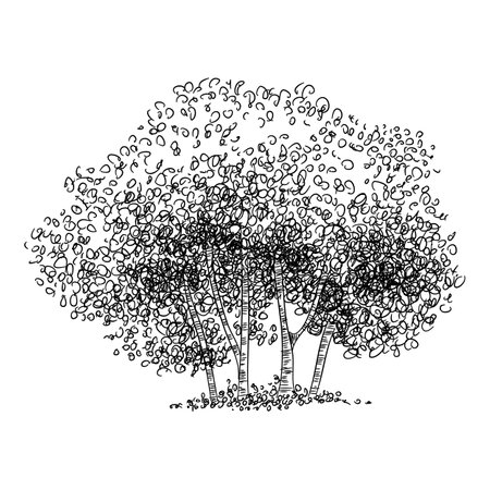 Group of tree icon, hand drawn and outline styleのイラスト素材
