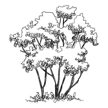 Thin tree icon, hand drawn and outline styleのイラスト素材