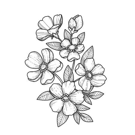 Hand drawn branch of sakura with blooms, flowers, leaves, petals. Modern line art style. Botanical composition for card, invitation, logo, fabric print. Hand drawn, realistic style.のイラスト素材