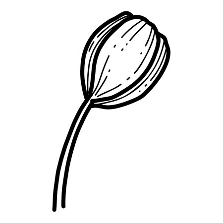 Free hand Sakura flower vector, Beautiful line art Peach blossom isolate on white background. Spring japan flower. Realistic hand drawn styleのイラスト素材