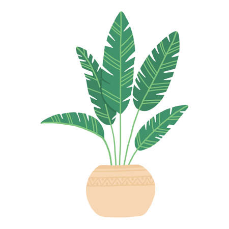 Tropical house plant pot. Ficus, monstera, protea, pellaea, succulent in various pot, vase. Scandinavian cozy home decor. Flat vector cartoon illustration isolated on white backgroundのイラスト素材
