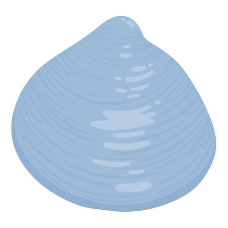 Sea shell, starfish. Underwater mollusk animal. Marine mollusc seashell, scallop, snail, cockleshell, mussel and conches. Vector illustration of shellfish isolated on white backgroundのイラスト素材