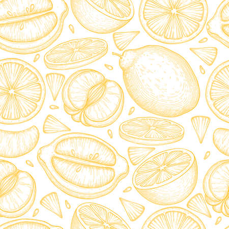 Lemon fruit pattern outline hand drawn vector. Summer citrusのイラスト素材