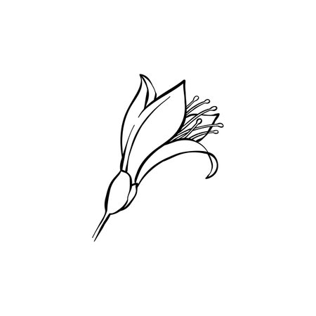 Luxury flower and logo. Trendy botanical element. Hand drawn line leave branch and blooming. Wedding elegant wildflower for invitation save the date card. Vectorのイラスト素材