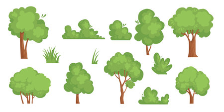 Collection of deciduous and evergreen forest plants isolated on white background. Botanical collection of bare trees and ones with leaves and lush crowns. Flat vector illustration on whiteのイラスト素材