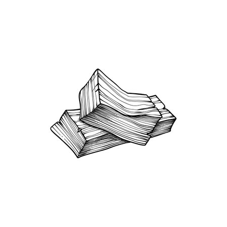 Palo santo stick. Hand drawn aroma burning stick, ritual element and sacred symbol for witchcraft, boho aromatherapy wood. Vector of aroma, esoteric hand drawn palo santo illustrationのイラスト素材