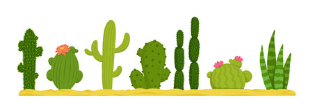 Mexican desert cactus green cartoon collection flora flora. Illustration of green mexican flora, flower plant succulent collection vectorのイラスト素材