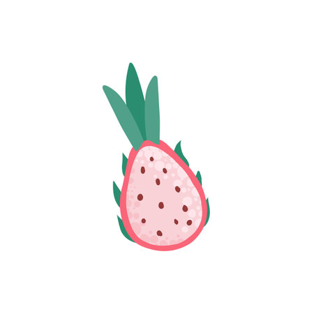 Doodle fruit. Natural tropical dragon fruit, vitamin healthy. Vegan kitchen hand drawn, organic fruit or vegetarian food. Vector isolated icon illustrationのイラスト素材