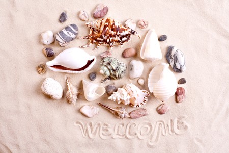 seashells in sand with text as a backgroundの写真素材