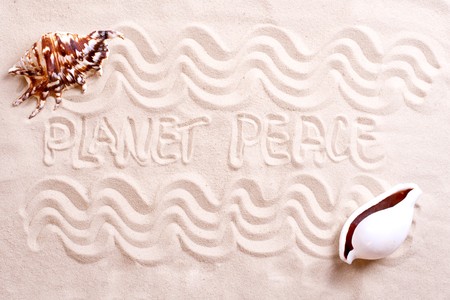 seashells in sand with text as a backgroundの写真素材
