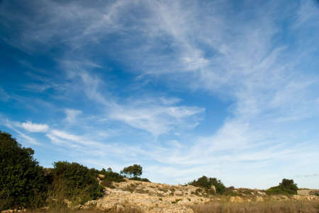 general landscape view of trees and sky typical to the Maltese countryside.の写真素材