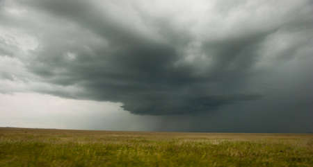Storm Clouds over the Serengeti