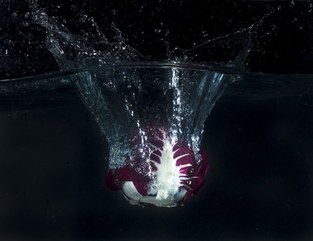 Chicory splashing in the water with bubblesの写真素材