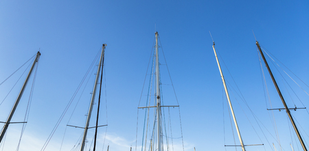 Sailing boat trees under beautiful blue sky