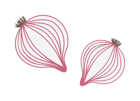 Red onion with fresh green sprout, half and onion rings isolated vector illustration. Red fresh onion and vegetable onion healthy food. Red onion with fresh green sprout and organic ripe.のイラスト素材