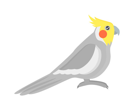 Cartoon parrots bird and parrot wild animal bird. Tropical parrot feather zoo birds tropical fauna macaw flying ara. Various cartoon exotic bird with parrots illustration vectorのイラスト素材