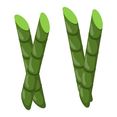 Branches of bamboo stem board vector green foliage. Feng shui green foliage vibrant tree bamboo stem. Tropical branch japanese natural gardening serene lucky bamboo stem botanical environment.のイラスト素材
