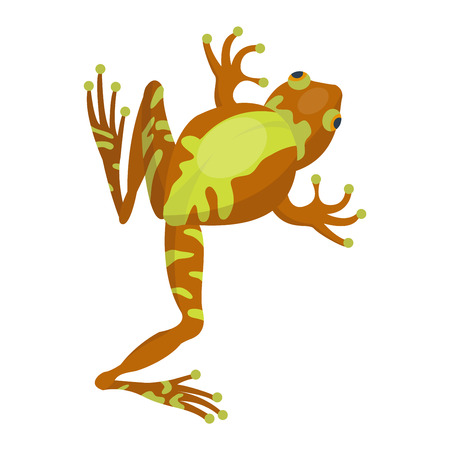 Frog cartoon tropical animal cartoon nature icon. Funny frog cartoon vector illustration. Some frog flat syle isolated on white backgroundのイラスト素材