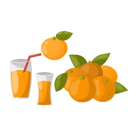 Ripe orange products fruits and slices with leaf isolated on white background. Realistic orange products vector illustration. Citrus natural orange products vitamin fresh juice dessert sweet food.のイラスト素材
