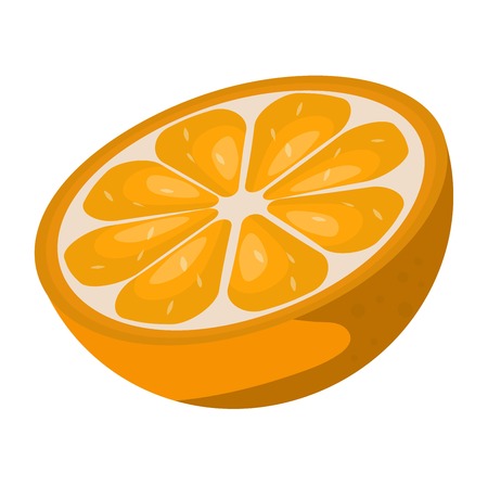 Slice of fresh orange isolated on white background fruit. Orange slice vector citrus food, orange slice juicy organic sweet vitamin. Tasty healthy cut exotic fruit.のイラスト素材