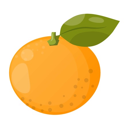 Ripe fresh orange on a white background. Orange isolated vector and juicy ripe vitamin fresh orange isolated. Orange isolated tropical healthy fruit and refreshment exotic dessert.のイラスト素材