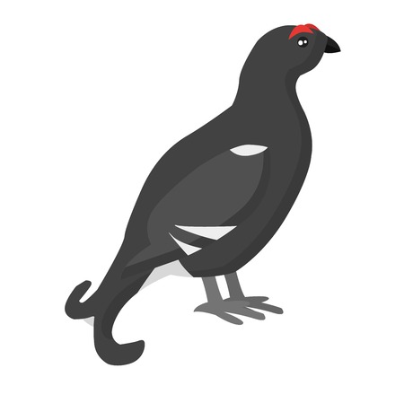 French partridge game bird pheasant family, partridge flying bird. Fowl red-legged pheasant habitat grouse. Wild pheasant pheasant, red-legged partridge nature bird animal fauna striped cock vector.のイラスト素材