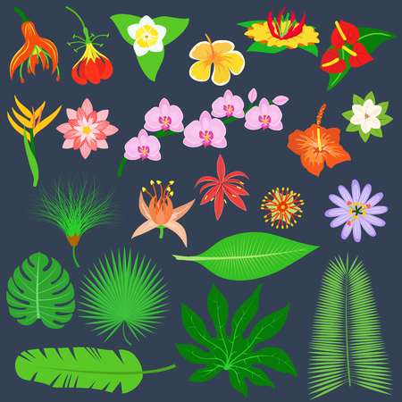 Vector tropical leaves Green tree leave. Natural green leaf isolated. Leaf element floral color garden art. Tropical leave tree element. Natural green tropical leave flat styleのイラスト素材
