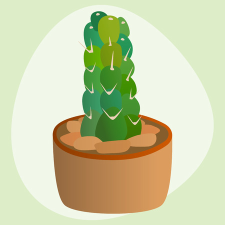 Cactus flat style nature desert flower green cartoon drawing graphic mexican succulent and tropical plant garden art cacti floral vector illustration.の写真素材