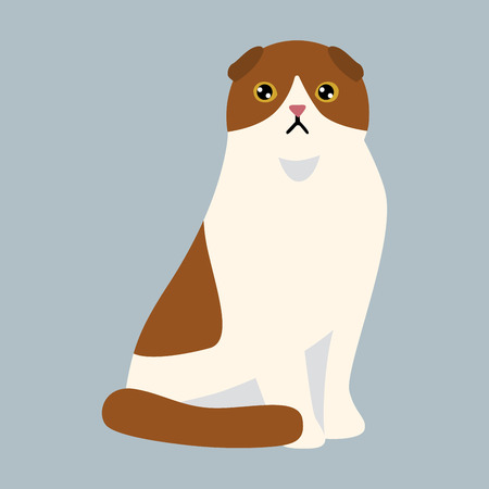 Cat breed british shorthair cute pet white red fluffy adorable cartoon animal and pretty fun play feline sitting mammal domestic kitty vector illustration.のイラスト素材